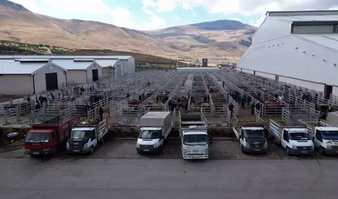 Erzurum'da 'kurbanlık oteli'