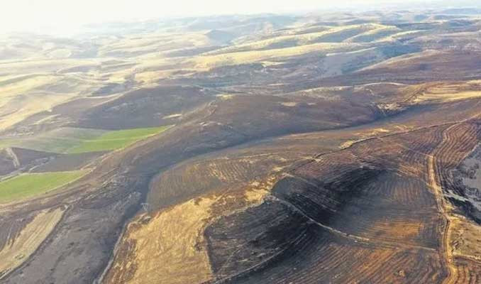 Diyarbakır'daki anız yangınında kurtulanlar anlattı