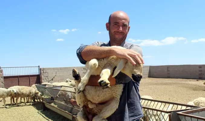 Bankacılığı bıraktı çoban oldu