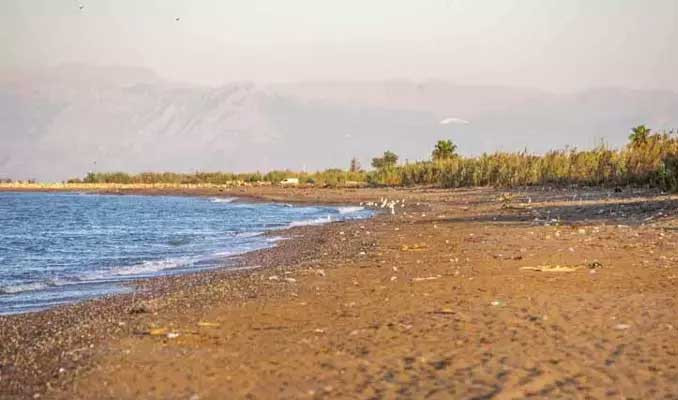 Yavru carettalar çöplerin içinden denize ulaşmaya çalışıyor