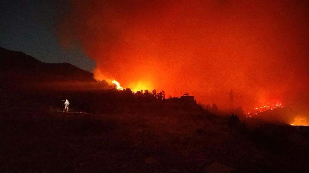 İzmir'de 5 gün süren yangının nedeni ortaya çıktı!