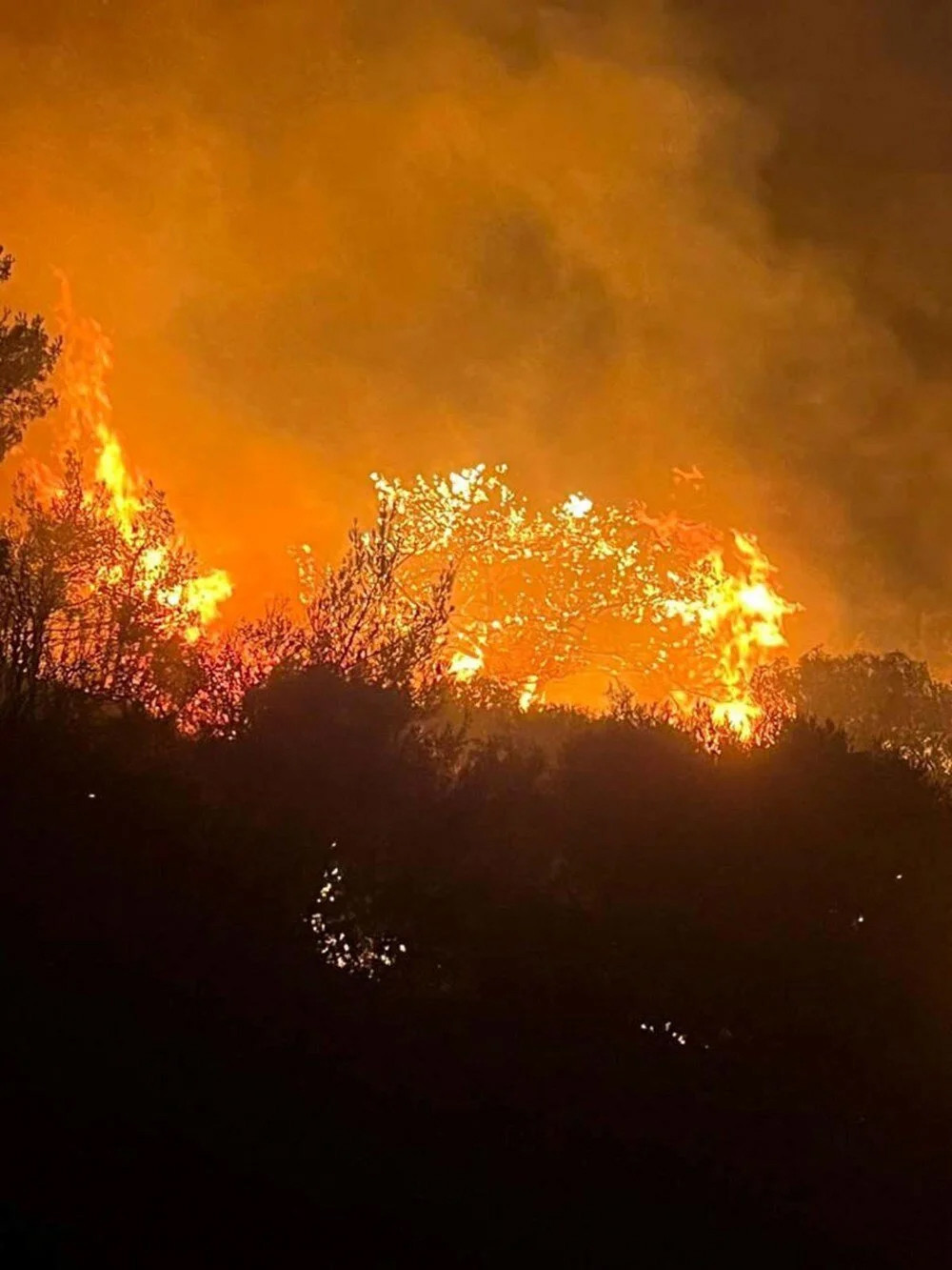 İzmir'de 5 gün süren yangının nedeni ortaya çıktı!