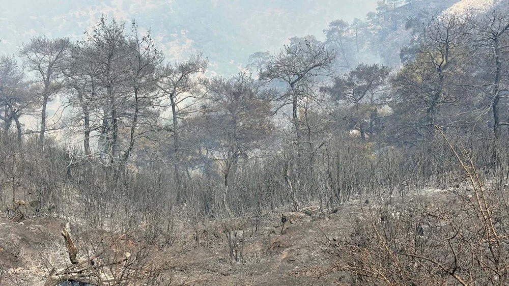 İzmir'de 5 gün süren yangının nedeni ortaya çıktı!