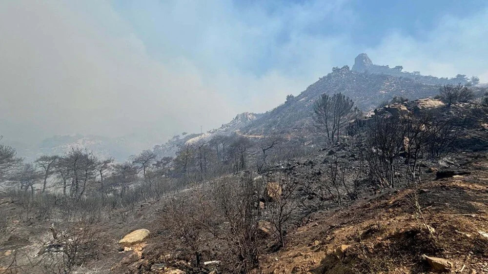 İzmir'de 5 gün süren yangının nedeni ortaya çıktı!