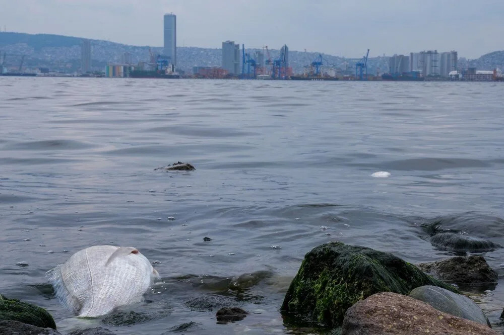 İzmir Körfezi'nde 50 kat fazla amonyak tehlikesi!